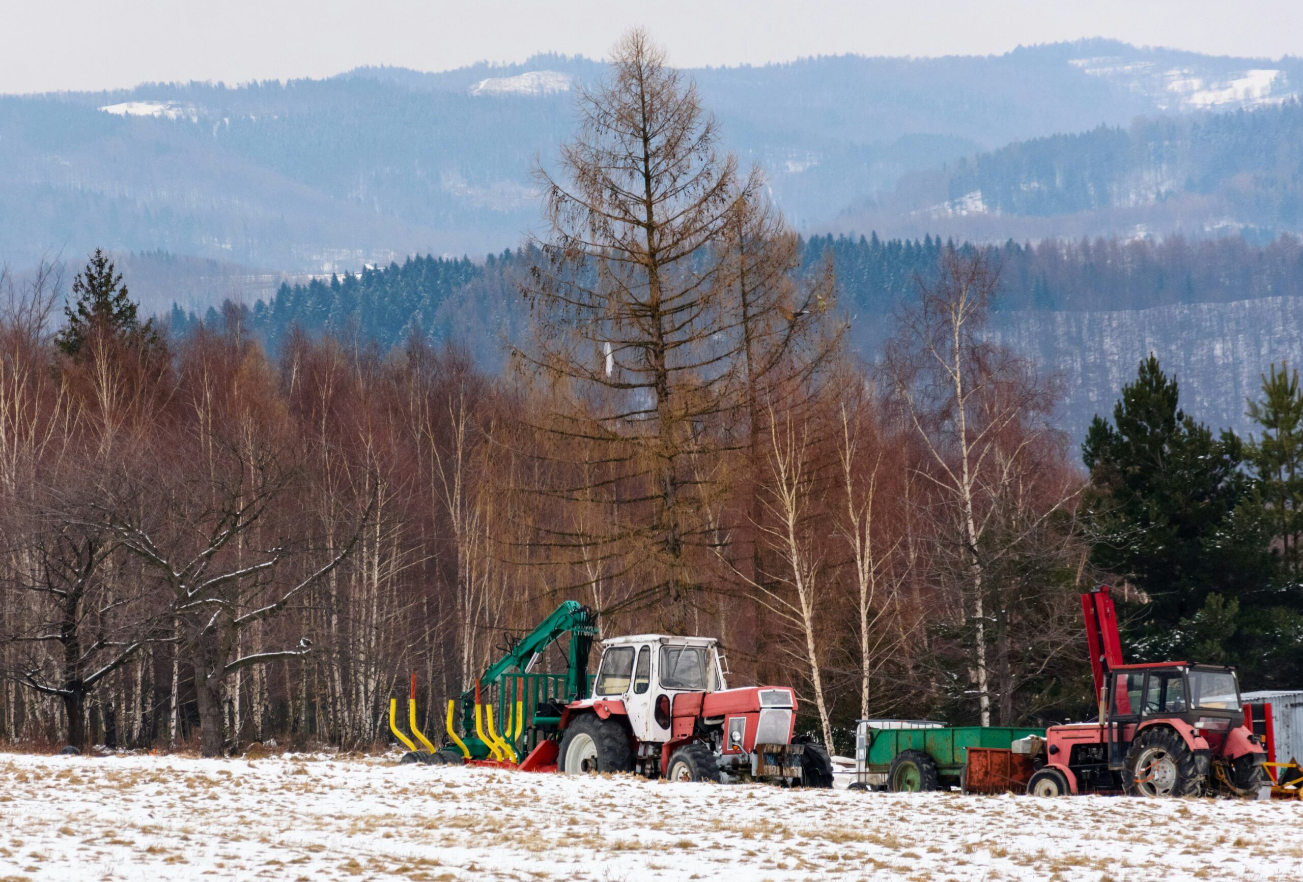 En este momento estás viendo Quads para trabajos forestales: eficiencia y potencia en el campo