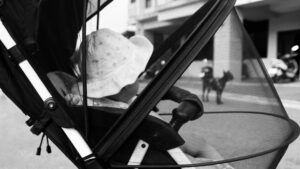 Lee más sobre el artículo Qué factores determinan el precio de un buggy