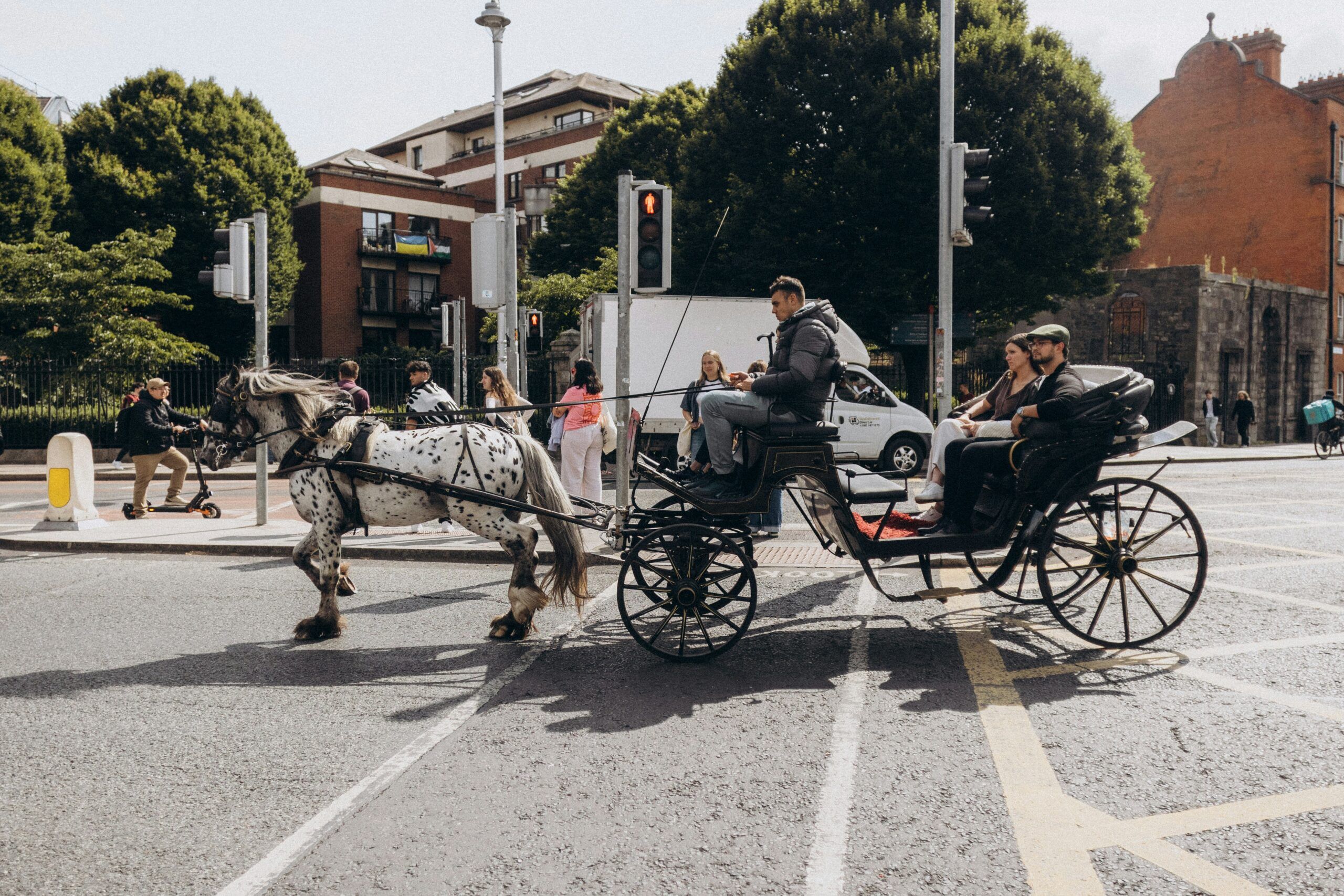 En este momento estás viendo Cómo transportar un buggy correctamente